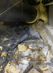 Dirty Crawl Space