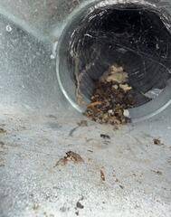 Duct Cleaning - Colfax, IA