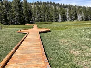 The boardwalk over the meadow