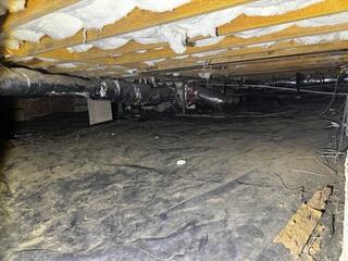Complete Crawl Space Repair and Encapsulation in High Point, NC