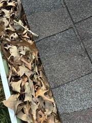 Gutters need protection