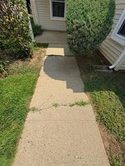 Cracked Sidewalk