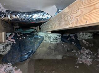 Musty, Messy Crawl Space