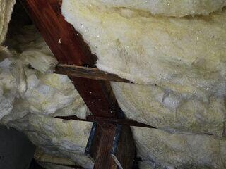 Water Droplets On Subfloor Insulation