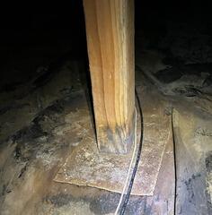 Rotting wood