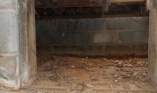 Moisture left its mark on the concrete walls of the crawl space, effervescense.