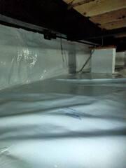 CleanSpace
