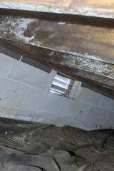Mold on Wood Floor Joists