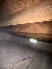 Mold Treatment
