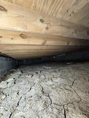 Mold Gone