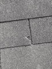 One of many hail-damaged shingles.