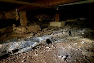 Earth Exposed Underfoot - Siletz, OR