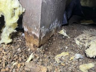 The Stability of a Home Begins in The Crawl Space - Eugene, OR