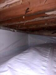 Termite inspectors actually love what we do!