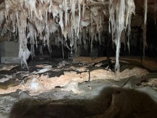 Crawl Space Taken Form a Liability to an Asset in Brunswick, GA