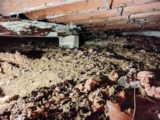 Dirt and Insulation That Fell Apart