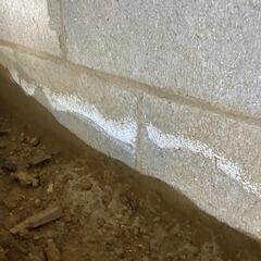Signs of Water Intrusion in the Crawl Space