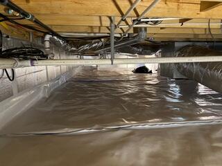 Crawl Space After