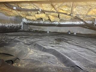 Crawl Space Before