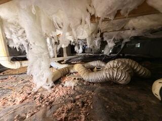 Crawl Space before