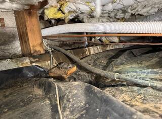 Nasty Crawl Space