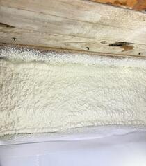 Spray Foam