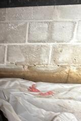 Water Line