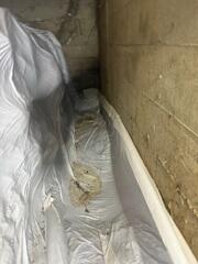 Installing a CleanSpace System in Portland, OR