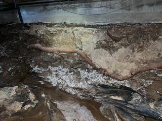 Water Intrusion Erodes Soil