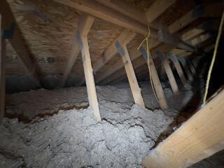 TruSoft Cellulose Insulation in Windsor, NY