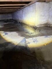 Standing Water