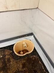 Sump Pump Installation