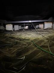 Nasty Crawl Space