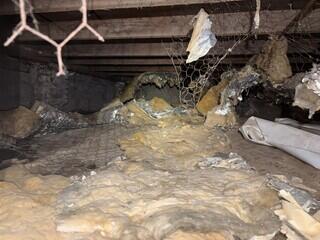 Crawl space debris