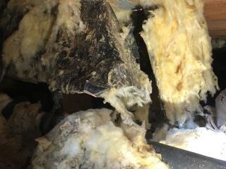 Before in crawlspace