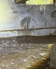 Vulnerable Soil