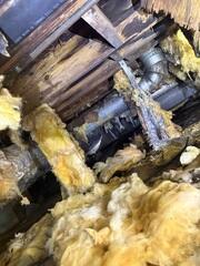 NASTY Crawl Spaces