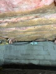 Mold Removal in Pleasant View, TN