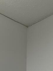 Ceiling Cracks