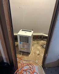 Hidden Basement Dehumidifier