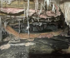 Nasty Crawl space photo