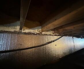 Silver Glo insulation and rim joist sealant