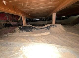 Dirty Crawl Space