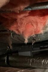 Crawl Space Damage