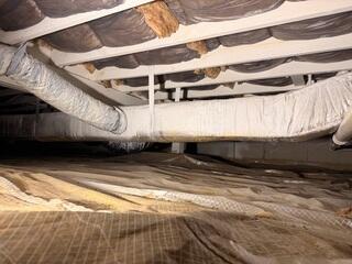 Crawl Space Encapsulation in Charlottesville, Virginia Home.