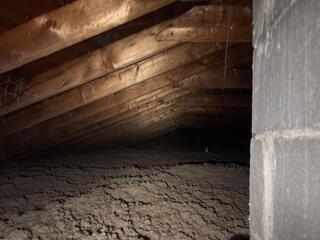 TruSoft Cellulose Insulation