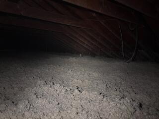 TruSoft Cellulose insulation in Binghamton, NY