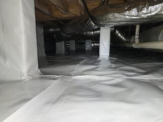 CleanSpace
