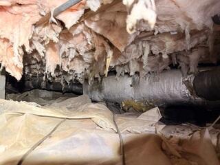 Unhealthy Crawl Space