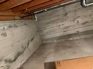 Upgrading the Crawl Space Entrance for Lasting Protection